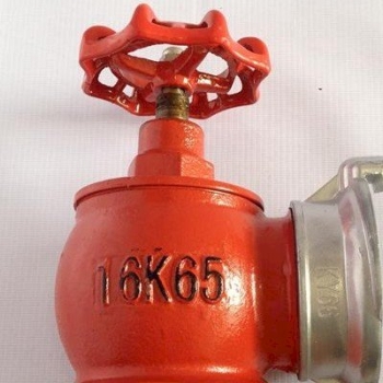 Van góc chữa cháy đồng D50 D65 kèm ren